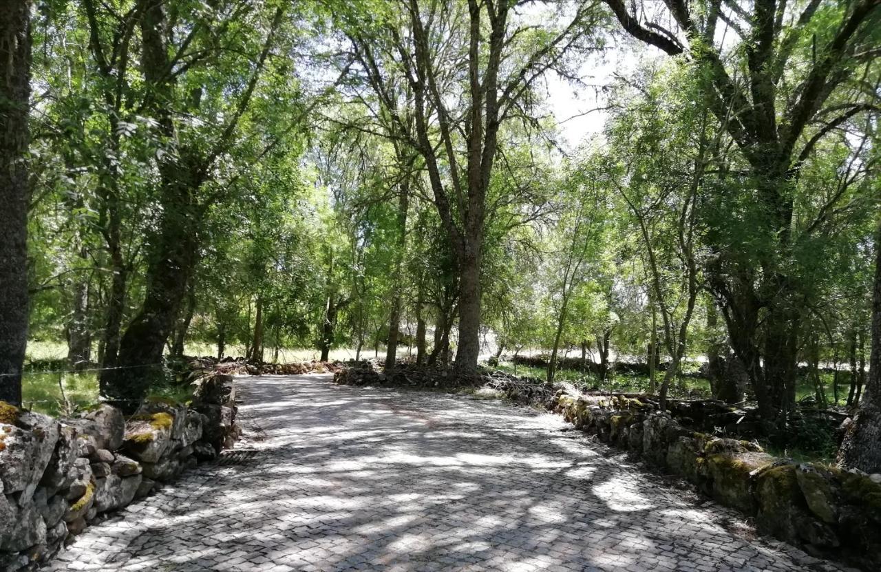 Carya Tallaya - Casas De Campo Vale das Éguas Exteriér fotografie