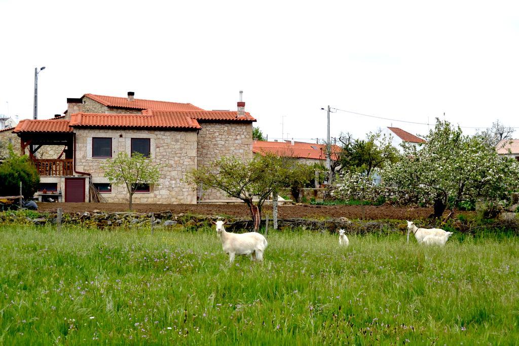 Carya Tallaya - Casas De Campo Vale das Éguas Exteriér fotografie
